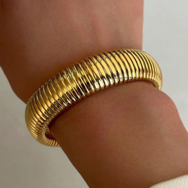 Brazalete Resort - Imagen 5